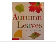 Cover of: Autumn leaves by 