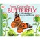 Cover of: From caterpillar to butterfly