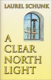 A clear north light by Laurel Schunk