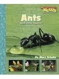 Cover of: Ants And Other Insects