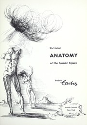 Cover of: Pictorial anatomy of the human figure.