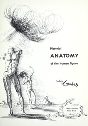 Cover of: Pictorial anatomy of the human figure. by Frederic Taubes