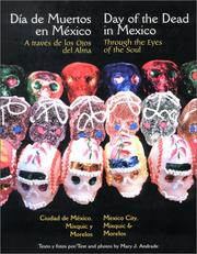 Cover of: Day Of The Dead Through The Eyes Of The Soul by Mary J. Andrade