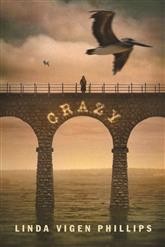 Cover of: Crazy by 