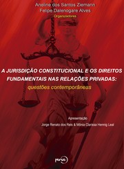 A jurisdição constitucional e os direitos fundamentais nas relações privadas by Aneline dos Santos Ziemann, Felipe Dalenogare Alves