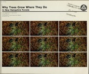 Cover of: Why trees grow where they do in New Hampshire forests