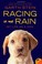 Cover of: Racing in the rain