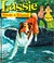 Cover of: Lassie Finds A Friend