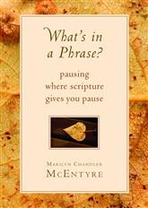 Cover of: What's in a phrase?: Pausing where Scripture gives you pause