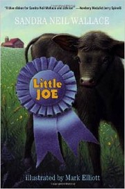 Little Joe cover