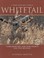Cover of: Whitetail