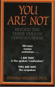 Cover of: You are not: beyond the three veils of consciousness