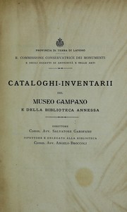 Cover of: Catalogo dei vasi e delle terrecotte del Museo Campano