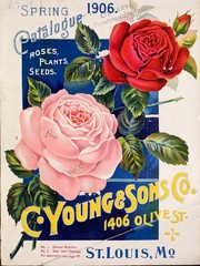 Cover of: Catalogue [of] roses, plants, seeds: Spring 1906