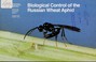 Cover of: Biological control of the Russian wheat aphid
