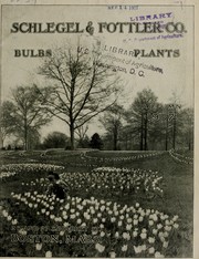 Bulbs, plants by Schlegel & Fottler