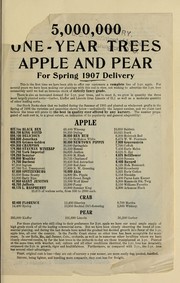 Cover of: 5,000,000 one-year trees: apple and pear for spring 1907 delivery