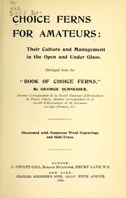 Cover of: Choice ferns for amateurs by George Schneider