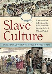 Cover of: Slave Culture by 