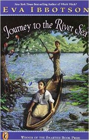Cover of: Journey to the River Sea