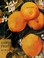 Cover of: The citrus fruits