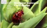 Cover of: Biological control of leafy spurge