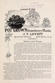 Cover of: Summer of 1908: pot grown strawberry plants
