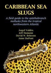 Caribbean sea slugs by Angel Valdes, Jeff Hammon, David Behrens, Anne Dupont
