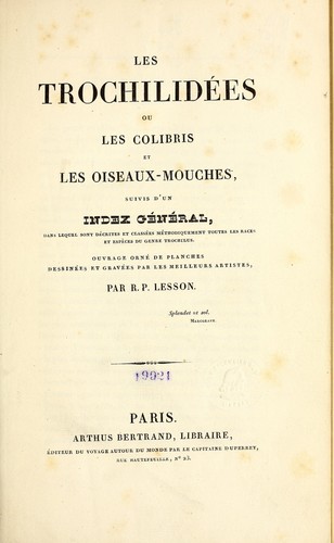 Les trochilidées by R. P. Lesson