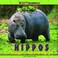 Cover of: Hippos