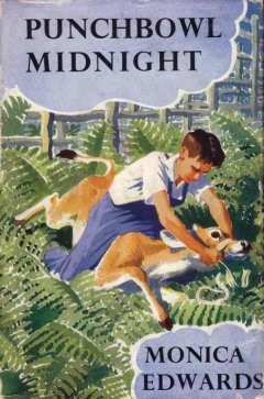 Cover of Punchbowl Midnight