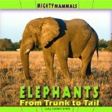 Cover of: Elephants: from trunk to tail