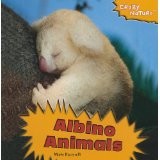 Cover of: Albino animals by Marie Racanelli
