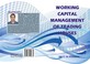 Cover of: Working Capital Management of Trading Houses