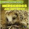 Cover of: Hedgehogs Are Not Hogs