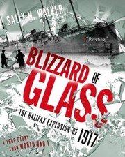 Cover of: Blizzard of glass by 