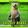 Cover of: Grizzly bears