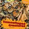 Cover of: Camouflaged creatures