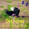 Cover of: Ostriches