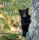 Cover of: Babies of the wild