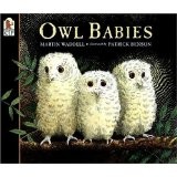 Cover of: Owl Babies by Martin Waddell