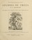 Cover of: Studies of trees
