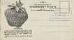 Cover of: 57th annual catalogue of strawberry plants