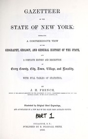 Cover of: Gazetteer of the State of New York: embracing a comprehensive view of the geography, geology, and general history of the State