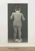 Cover of Marlene Dumas