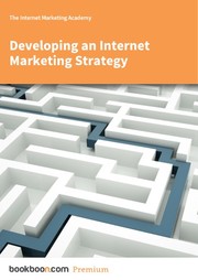 Cover of: Developing an Internet Marketing Strategy