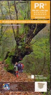 Cover of: PR Asturias. Tomo V: 30 pequeños recorridos y 6 senderos locales
