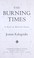 Cover of: The burning times : a novel of medieval France