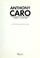 Cover of: Anthony Caro