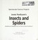 Cover of: Insects and Spiders (Spectacular Science Projects)